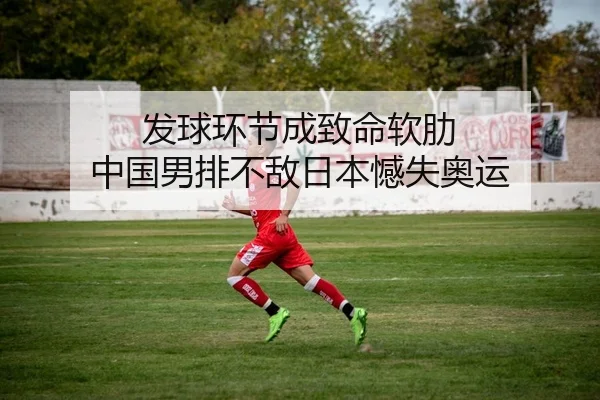 fa-qiu-huan-jie-cheng-zhi-ming-ruan-lei-zhong-guo-nan-pai-bu-di-ri-ben-han-shi-ao-yun-2-936.jpg